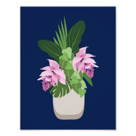 Tropische Medinilla Pink Blume Vase auf Dunkelblau Fotodruck