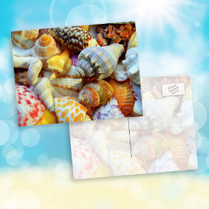 Tropische Meeresmuscheln Brieffreund Fotografie Po Postkarte