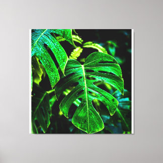 Tropische Monstera Glow – Dschungelblatt-Fotografi Leinwanddruck