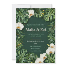 Tropische Monstera Weiße Orchidee Dunkelgrüne Hoch