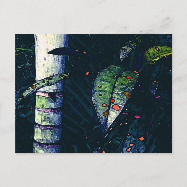 Tropische Nacht Postkarte (Vorderseite)