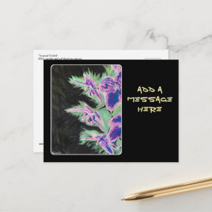 'Tropische Orchidee' Gemälde auf einer  Postkarte