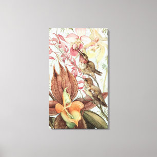 Tropische Orchideen, Blumen und Kolibris aus der V Leinwanddruck