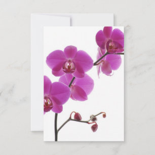 Tropische Orchideen-Hochzeitseinladungs-Antwortkar RSVP Karte