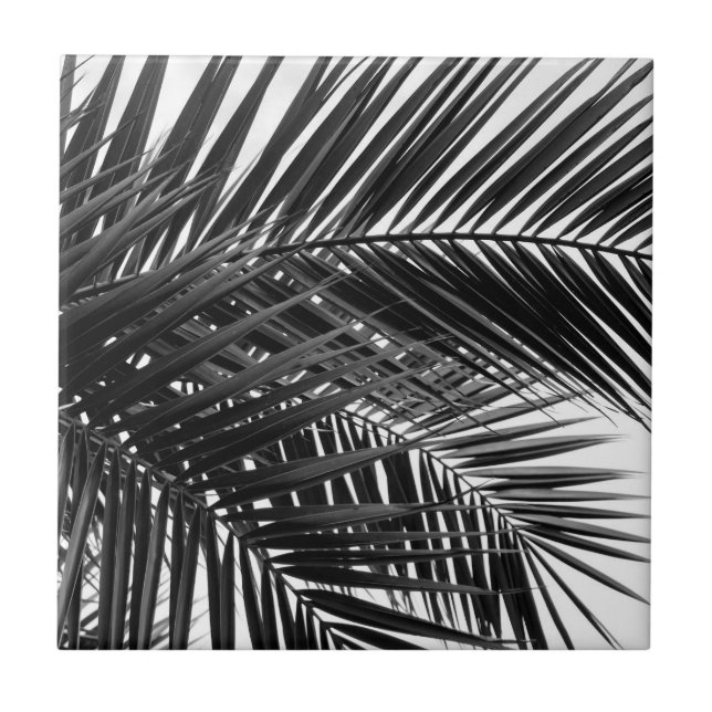 Tropische Palmblätter - Schwarzweißfotografie Fliese (Vorderseite)