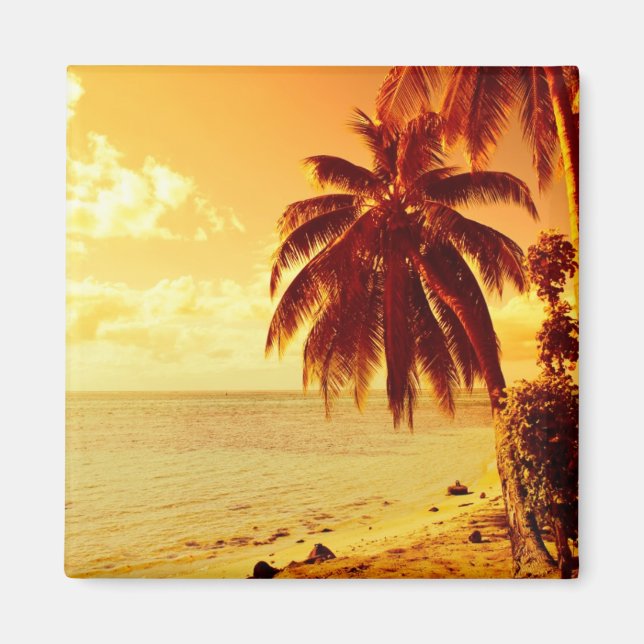 Tropische Palmen am Strand bei Sonnenuntergang Magnet (Vorne)