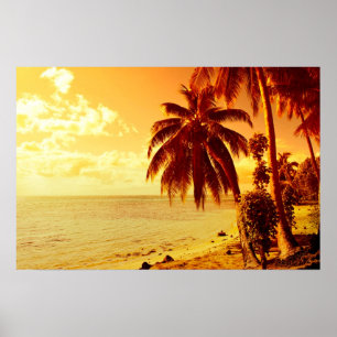 Tropische Palmen an einem Strand bei Sonnenunterga Poster