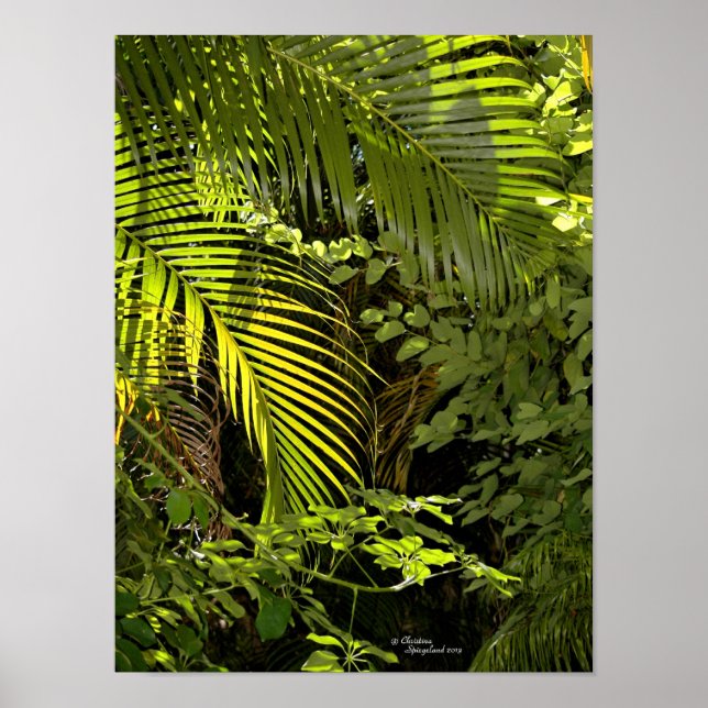 Tropische Palmen Blätter & Pflanze Waldposter Poster (Vorne)