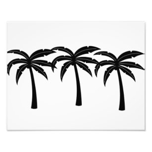 Tropische Palmen Fotodruck