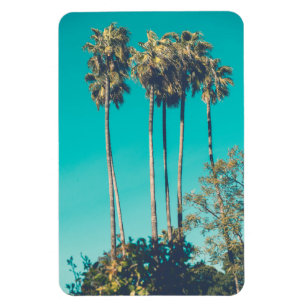 Tropische Palmen Kalifornien Retro-Vibe Magnet