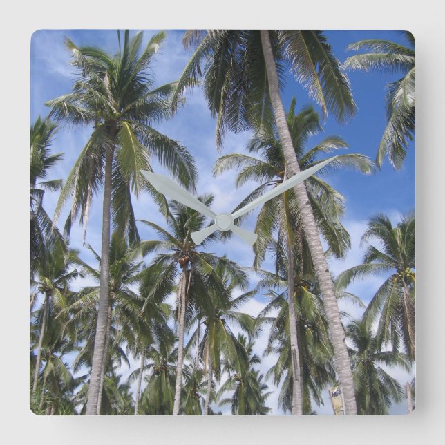 Tropische Palmen Quadratische Wanduhr (Vorderseite)