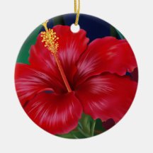 Tropische Paradies-Hibiskus-Verzierungen