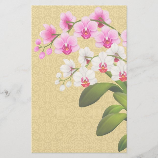 Tropische Phalaenopsis Orchideen Blume Stationieru Briefpapier (Vorderseite)