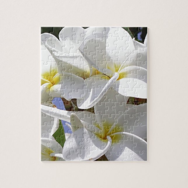 Tropische Plumeria-Blume (Vertikal)