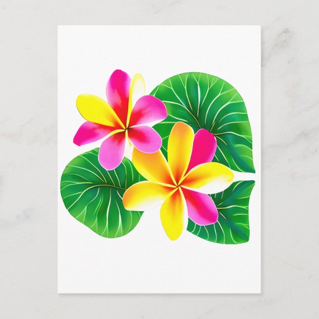Tropische Plumeria-Blume Postkarte (Vorderseite)