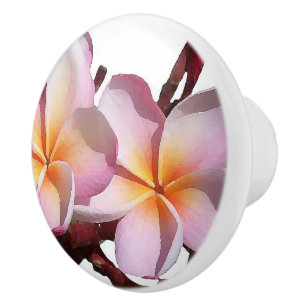 Tropische Plumeria-Blumen-Blumengriff Keramikknauf