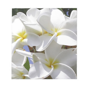 Tropische Plumeria-Blumen Notizblock