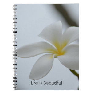 Tropische Plumeria-Blüte Kauai (meine Fotografie) Notizblock