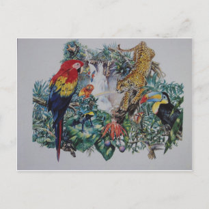 Tropische Rainforest Wildlife Collage Postkarte