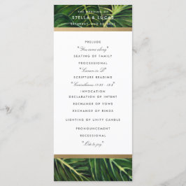 Tropische Romantik II Programm