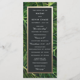 Tropische Romantik / Programm