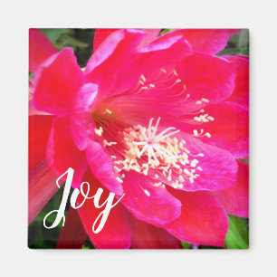Tropische rosa Blütenfotografie Magnet