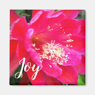 Tropische rosa Blütenfotografie Magnet