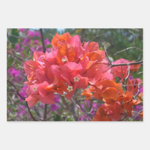 Tropische rosa Bougainvillea Inselblumen Geschenkpapier Set