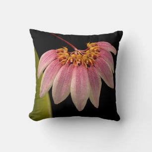 Tropische rosa Orchidee Kissen