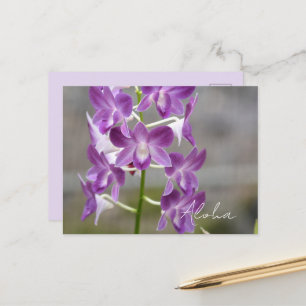 Tropische rosa Orchideenblüten Kauai Postkarte
