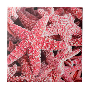 Tropische rosa Starfish Fliese