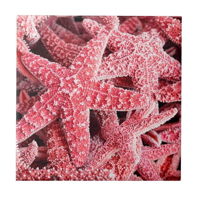 Tropische rosa Starfish Fliese (Vorderseite)