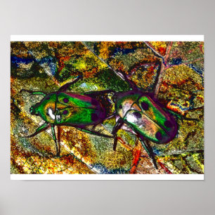 Tropische Rosen-Käfer-Käfer-Digital-Kunst Poster