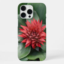 - Tropische rote Blume