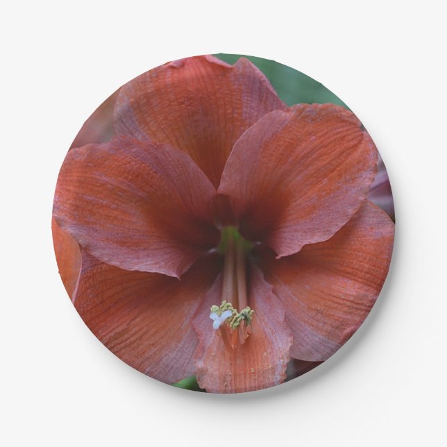 Tropische Rote Blume Pappteller (Vorderseite)