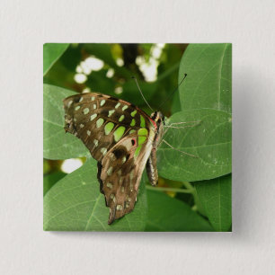 Tropische Schmetterlingstaste Button