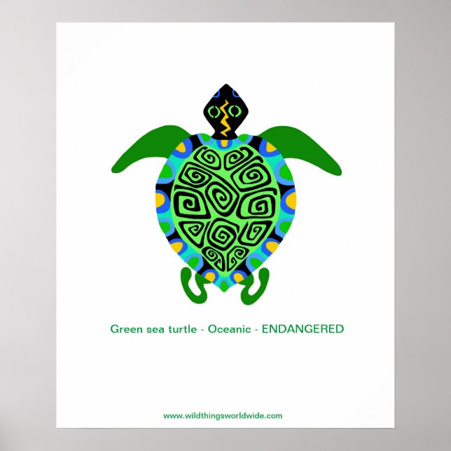 Tropische See TURTLE - gefährdete Arten - Plakat (Vorne)