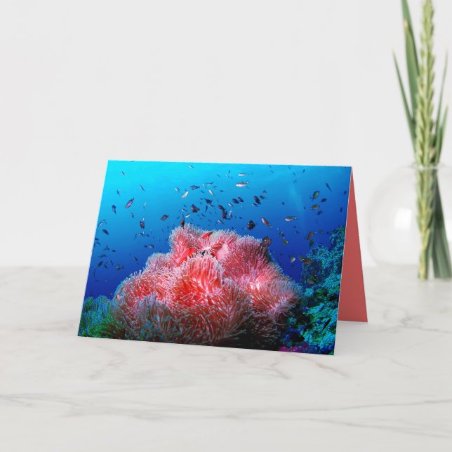 Tropische Seeleben-rosa glühende Anemonen-Koralle Karte (Vorderseite)