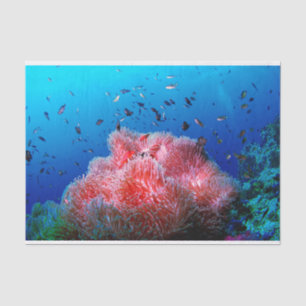 Tropische Seeleben-rosa glühende Anemonen-Koralle Seidenpapier