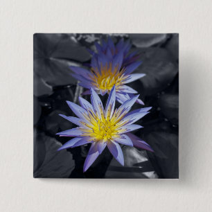 Tropische Seerosen Florale Botanische Gestaltung Button
