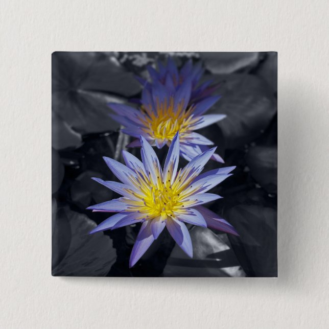 Tropische Seerosen Florale Botanische Gestaltung Button (Vorderseite)