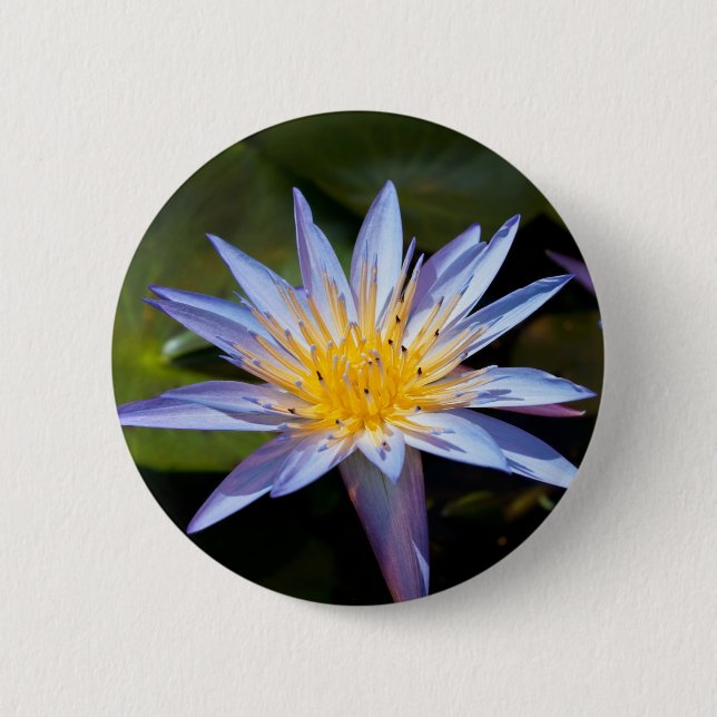 Tropische Seerosen Florale Botanische Gestaltung Button (Vorderseite)