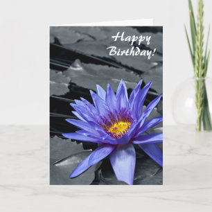 Tropische Seerosen Florale Botanische Gestaltung Karte
