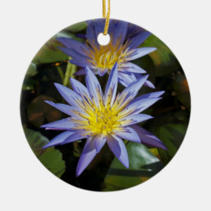 Tropische Seerosen Florale Botanische Gestaltung Keramik Ornament