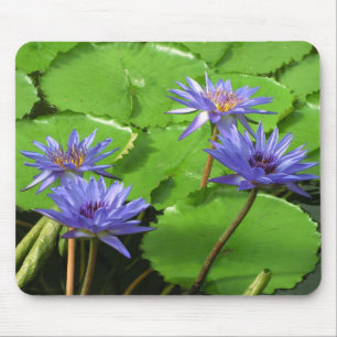 Tropische Seerosen Florale Botanische Gestaltung Mousepad