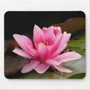 Tropische Seerosen Florale Botanische Gestaltung Mousepad