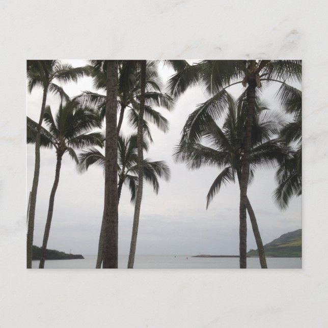 Tropische Sicht auf Kauai Postkarte (Vorderseite)