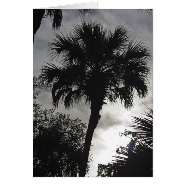 Tropische Silhouette (Vorne)