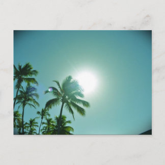 Tropische Sonne Postkarte