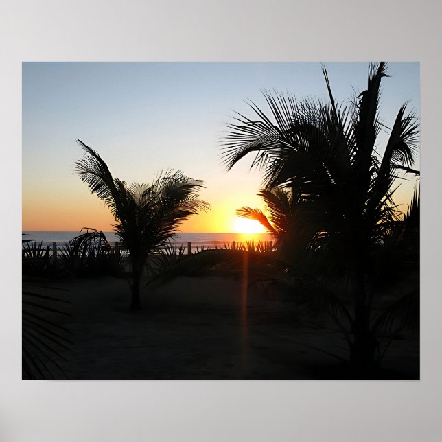 Tropische Sonnenuntergang-Silhouette Poster (Vorne)